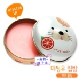 ETUDE HOUSE Missing U 保育動物護唇膏-海豹．柚子香 15g