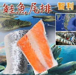 智利鮮嫩鮭魚尾排300g(2片)