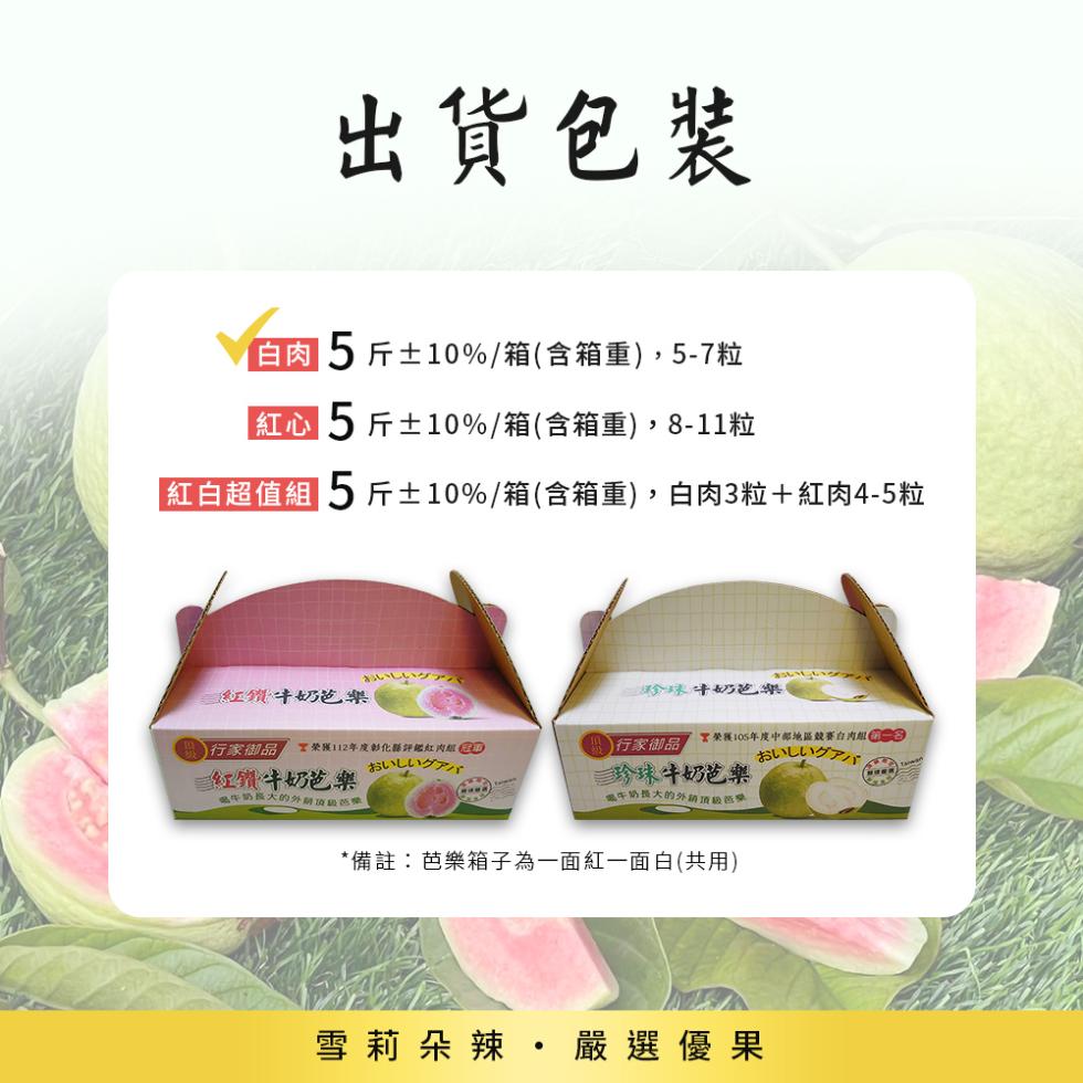 出貨包裝，白肉5斤±10%/箱(含箱重),5-7粒，紅5斤±10%/箱(含箱重),8-11粒，紅白超值組 5斤±10%/箱(含箱重),白肉3粒+紅肉4-5粒，おいしいグ，紅鑽牛奶芭樂，行家御品 宮榮獲112年度彰化縣評鑑紅肉組，おいしいグアバ，三紅鑽