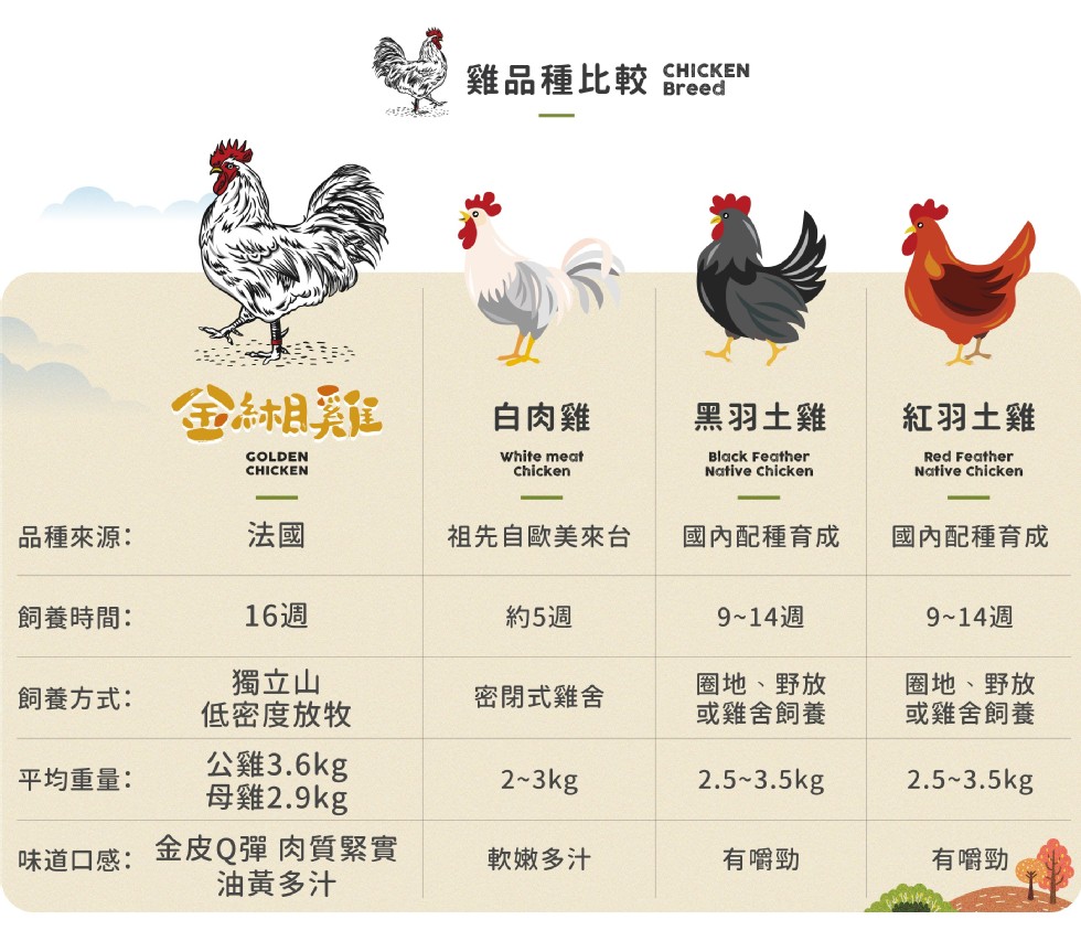 雞品種比較Breed，白肉雞，黑羽土雞，紅羽土雞，品種來源:祖先自歐美來台，國內配種育成，國內配種育成，飼養時間:16週，約5週，9~14週，9~14週，獨立山，低密度放牧，圈地、野放，或雞舍飼養，圈地、野放，或雞舍飼養，飼養方式:密閉式雞舍，公雞3