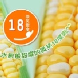 美國品種高甜度多汁雙色水果玉米 -1支 (約220g) 特價：$20