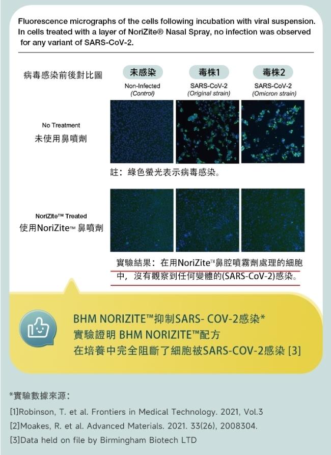 In cells treated with a layer of NoriZite® Nasal Spray, no infection was observed，病毒感染前後對比圖，未使用鼻噴劑，使用NoriZite™ 鼻噴劑，未感染，毒株1，註: