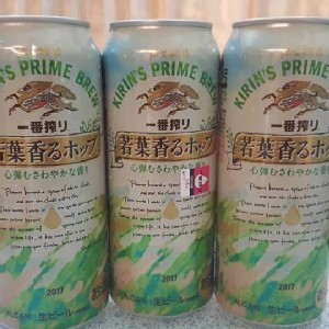 一番搾若葉香啤酒500ml*6罐