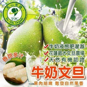 台灣有機牛奶文旦,1箱 10斤約 8,9顆