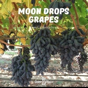 🍇Moon Drops祕魯空運無籽月亮葡萄🍇