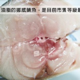 【巧益市】頂級挪威鯖魚600g以上．海鮮(全館滿2000享95折+免運)．CF000110 吃了會流眼淚>< 特價：$220