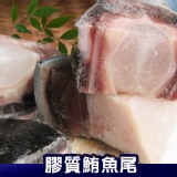 膠質鮪魚尾．海鮮．CF000111