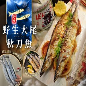 《野生大尾秋刀魚》(一組兩包)