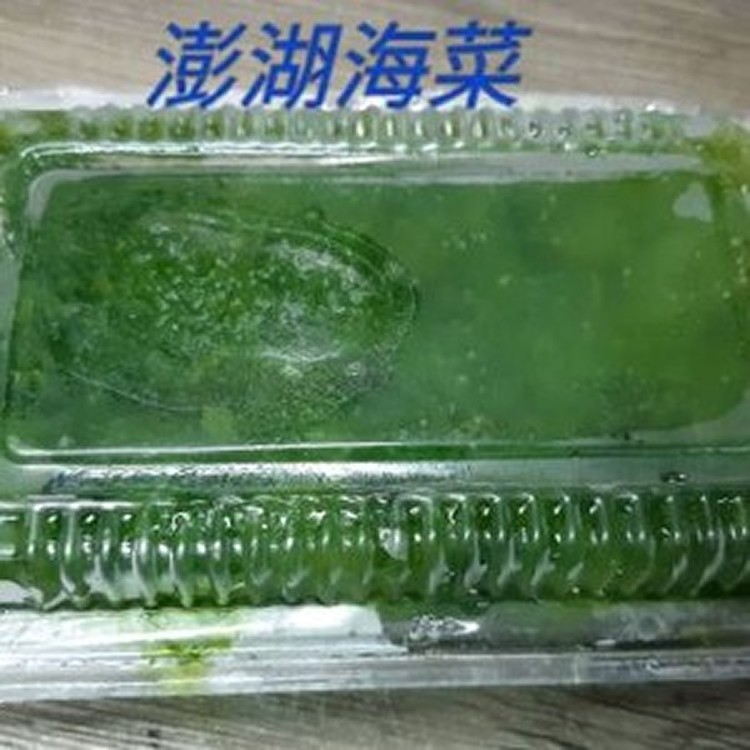 澎湖海菜