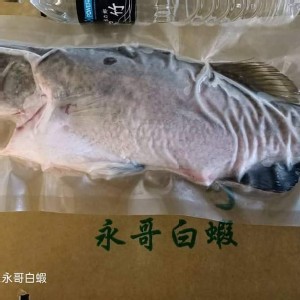 金目鱸魚三去400-500克