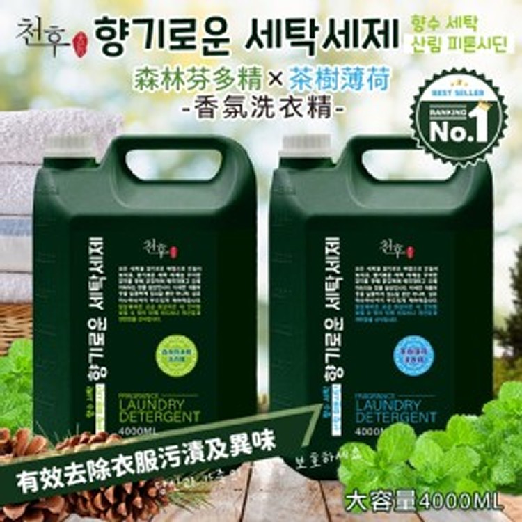 🌳森林芬多精×茶樹薄荷🌿香氛洗衣精 4000ml