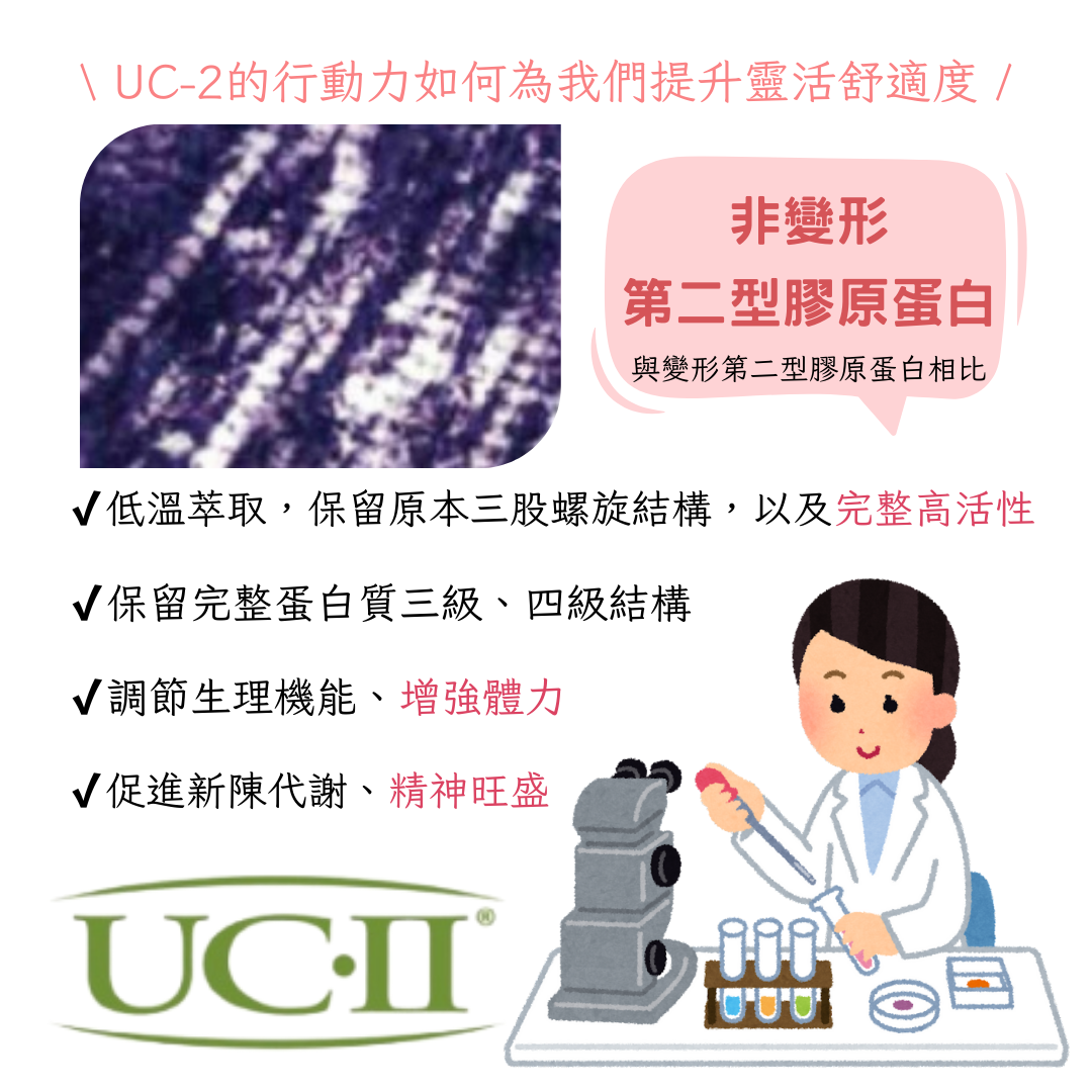 \ UC-2的行動力如何為我們提升靈活舒適度 /，非變形，第二型膠原蛋白，與變形第二型膠原蛋白相比，√ 低溫萃取,保留原本三股螺旋結構,以及完整高活性，√保留完整蛋白質三級、四級結構，√調節生理機能、增強體力，√促進新陳代謝、精神旺盛，יסיסיסי