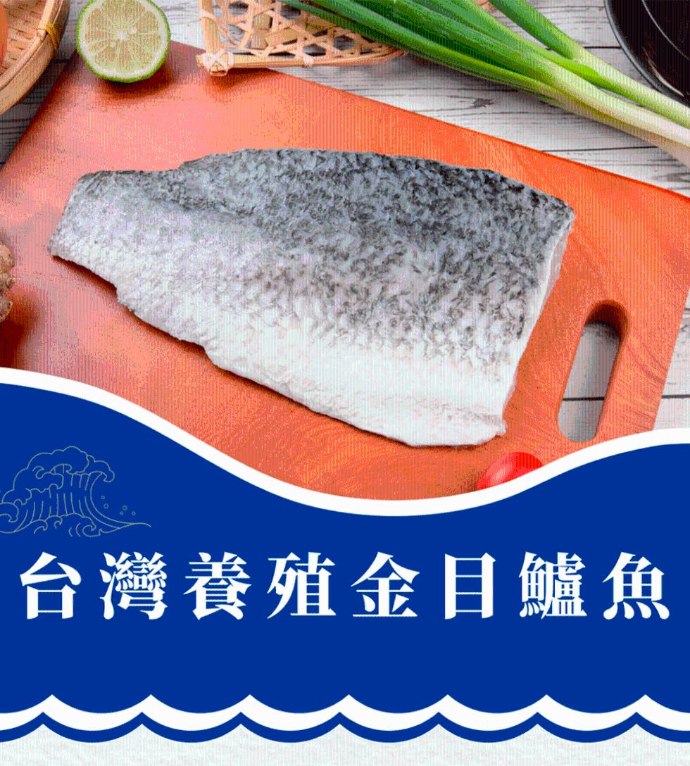 台灣養殖金目鱸魚。