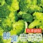 【田食原】IQF鮮凍青花菜800G 綠花椰菜 西蘭花