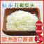 【田食原】歐洲嚴選花椰菜米1kg 白花椰菜