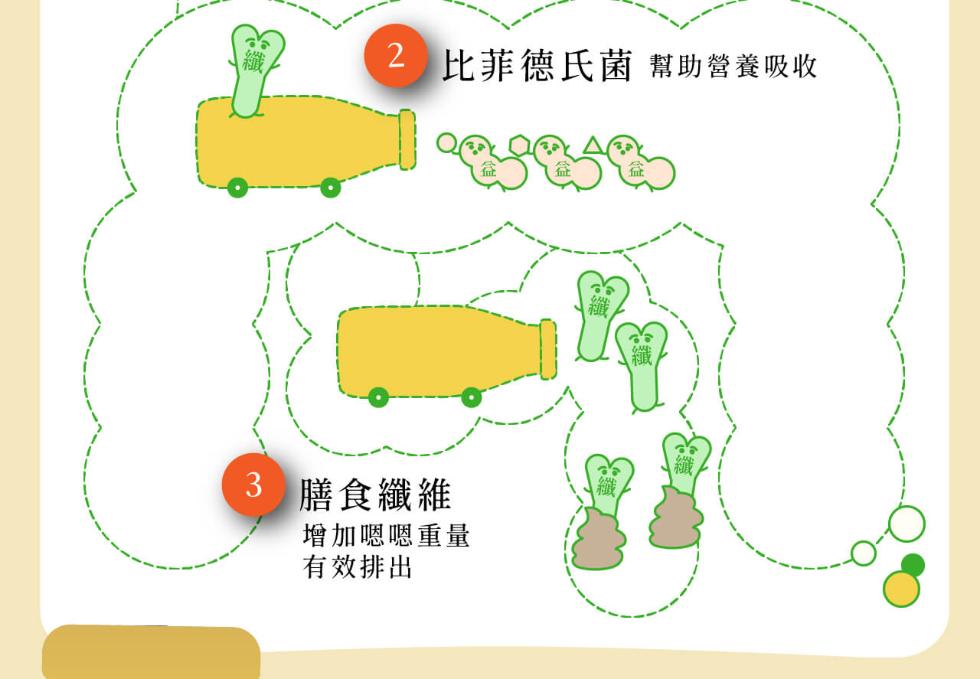 2 比菲德氏菌 幫助營養吸收，3 膳食纖維，增加嗯嗯重量，有效排出。