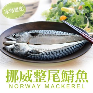【真美味】挪威整尾鯖魚290g