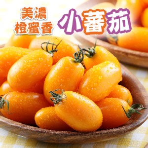 【真美味】美濃鮮採橙蜜香小蕃茄(小番茄)3台斤/箱