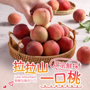 【真美味】拉拉山現採一口桃_1.2kg/箱