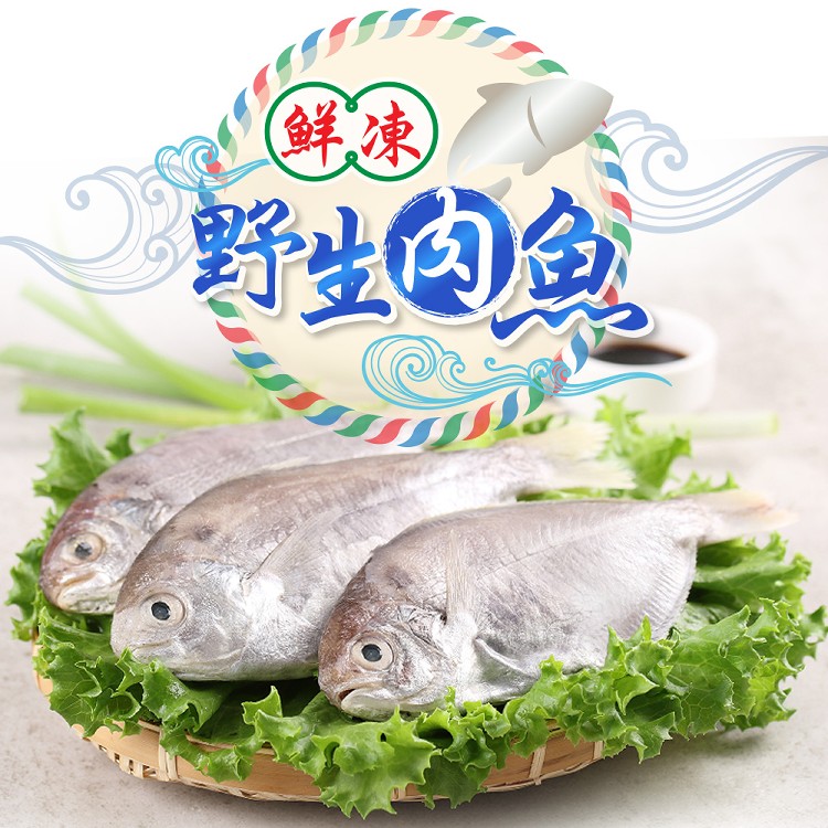 【真美味】鮮凍野生肉魚(2尾一包)