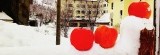 凍僵的蘋果-日本代購