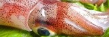 美食饗宴の㊣日本一夜干の花鯽魚